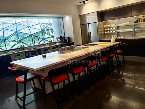 別墅會(huì)所單位招待鐵板燒設(shè)備定制 圖3